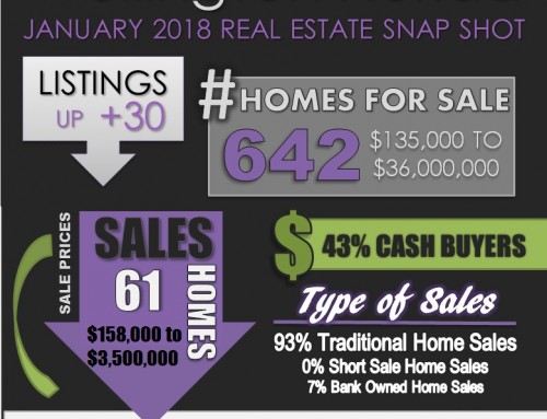 Wellington Florida Real Estate Snap Shot January 2018 (INFOGRAPHIC)